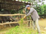 Nghĩa Lạc phát huy lợi thế chăn nuôi