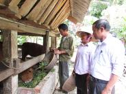 Chủ tịch hội nông dân “khơi nguồn” cho nhiều ý tưởng làm kinh tế của hội viên