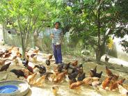 Lão nông làm giàu từ mô hình chăn nuôi tổng hợp
