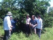 Nghĩa Tân tổ chức cho nông dân thăm quan, học tập mô hình trồng cây có múi