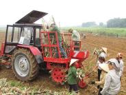Hội thảo đầu bờ về ứng dụng máy trồng mía