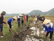 Gần 300 đoàn viên thanh niên ra quân làm thủy lợi