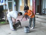 Nghĩa Đàn khoảng 30.000 con chó, mèo sẽ được tiêm phòng dại