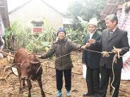 Chìa khóa “thoát nghèo” cho hội viên hội cựu TNXP Nghĩa Đàn
