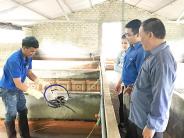 Thanh niên Nghĩa Đàn khởi nghiệp từ mô hình nuôi lươn không bùn