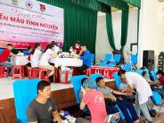 Nghĩa Đàn gần 800 tình nguyện viên tham gia hiến máu