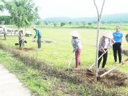 Tu bổ công trình "Hàng cây nông dân ơn Bác" chào mừng Đại hội Đảng bộ huyện