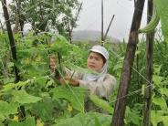 GƯƠNG HỘI VIÊN PHỤ NỮ DÂN TỘC THỔ PHÁT TRIỂN KINH TẾ GIỎI