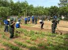 Đoàn xã Nghĩa Mai phối hợp với Lữ đoàn thiết giáp 206 giúp cô trò trường mầm non tổng dọn vệ sinh khuôn viên