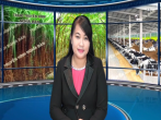 thời sự 2-1-2016