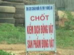 NGHĨA ĐÀN CHỦ ĐỘNG PHÒNG DỊCH TẢ LỢN CHÂU PHI