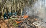 Nghĩa Thịnh diễn tập phòng thủ chữa cháy rừng năm 2024
