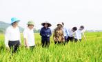 Phó Chủ tịch UBND tỉnh Nguyễn Văn Đệ kiểm tra mô hình sản xuất nông nghiệp tại Nghĩa Đàn