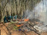 Nghĩa Thịnh diễn tập phòng thủ chữa cháy rừng năm 2024