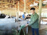 Gương thanh niên công giáo làm kinh tế giỏi