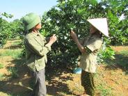 Đồng hành cùng nông dân xóa đói giảm nghèo