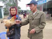 Nghĩa Đàn tăng cường kiểm dịch, tuyên truyền người dân không chủ quan với dịch bệnh cúm gia cầm