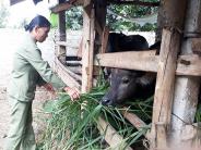 Mong muốn một “mái ấm” của nữ cựu thanh niên xung phong