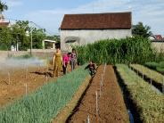 Phụ nữ Nghĩa Đàn “ Nói không với thực phẩm bẩn”