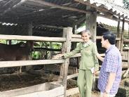 Các hoạt động tặng quà nhân dịp kỷ niệm 70 năm ngày thương binh liệt sỹ
