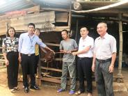 Trao bò gống sinh sản và hỗ trợ tiền làm nhà cho hộ nghèo
