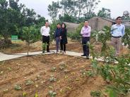 Hội nông dân tỉnh tham quan mô hình vườn chuẩn tại Nghĩa Đàn