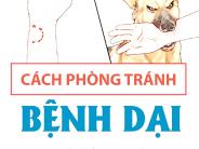 Khuyến cáo phòng chống bệnh dại