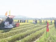 Hội thảo đầu bờ đánh giá và tổng kết mô hình sản xuất giống lúa lai LP1601 vụ Hè thu năm 2022