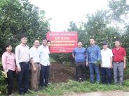 Kiểm tra nghiệm thu mô hình phòng trừ sâu bệnh, nâng cao chất lượng trên cây trồng