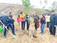 Đảng ủy khối Doanh nghiệp tỉnh Nghệ An hưởng ứng Tết trồng cây “Đời đời nhớ ơn Bác Hồ” xuân Quý Mão 2023