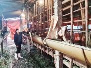Gương hội viên phụ nữ vươn lên phát triển kinh tế