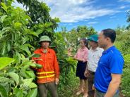 CÂY BƠ TRÊN ĐẤT NGHĨA ĐÀN TIỀM NĂNG, LỢI THẾ VÀ THÁCH THỨC