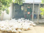 Gương CCB Hồ Thanh Hảo làm kinh tế giỏi, tổ trưởng tổ tổ tiết kiệm và vay vốn gương mẫu, nhiệt tình